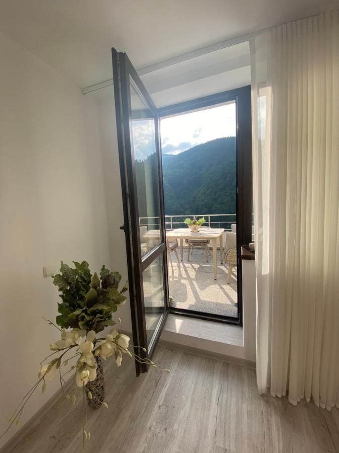 Heidy Sinaia Apartment Luaran gambar