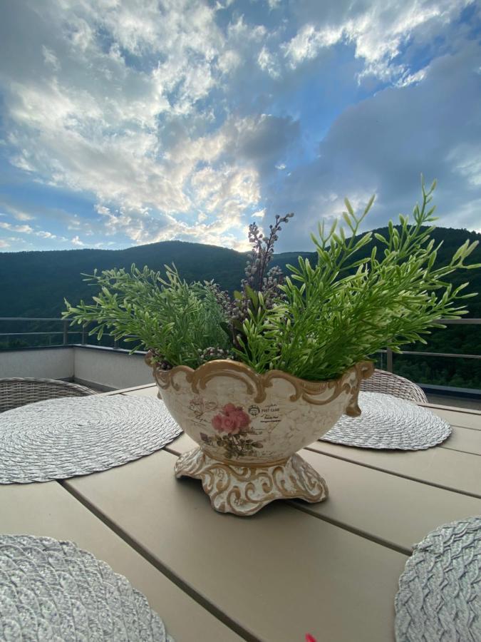 Heidy Sinaia Apartment Luaran gambar